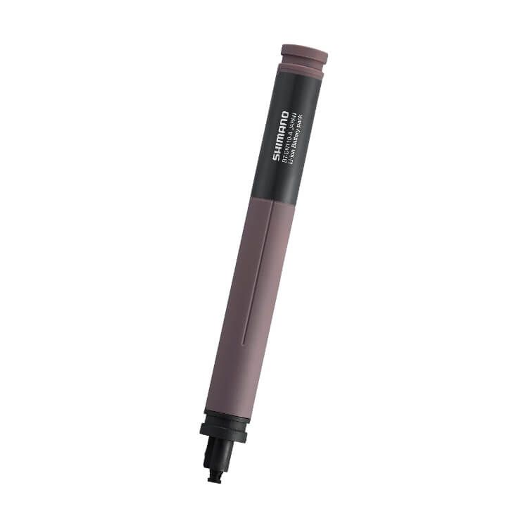 BT-DN110 - Imagen de la batería interna